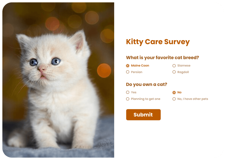 Quiz & Survey Form